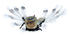 Navajo American Indian Eagle Kachina Doll SN20004
